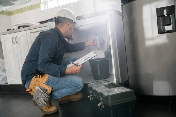 Best Plumbing Repair Near Me  in Stlman Valley, IL