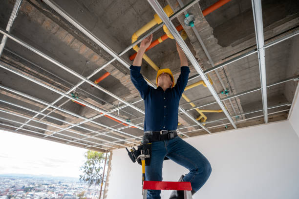 Best Affordable Plumber Near Me  in Stlman Valley, IL