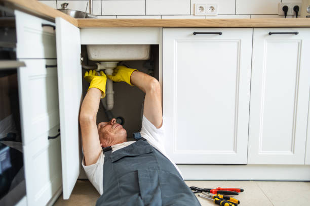 Best Faucet Repair  in Stlman Valley, IL