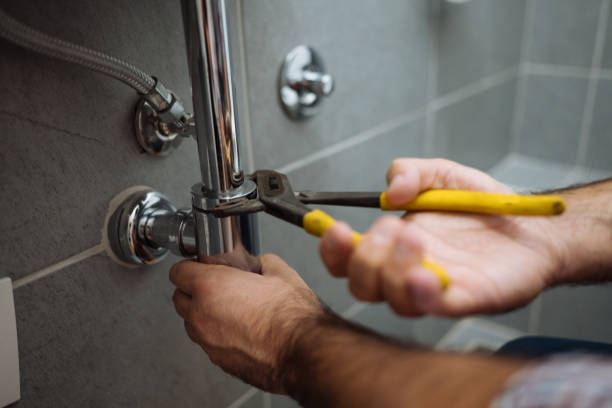 Best Plumbing Inspection Services  in Stlman Valley, IL