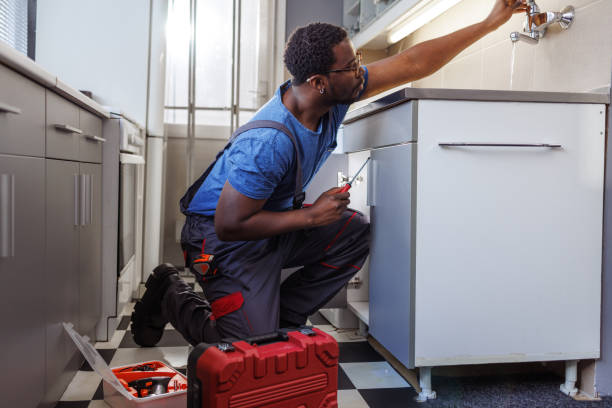 Best Drain Cleaning Services  in Stlman Valley, IL