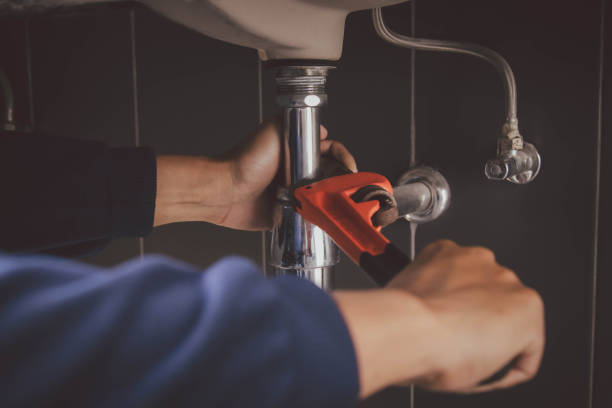 Best Plumbing Repair Near Me  in Stlman Valley, IL