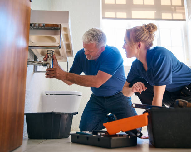 Best Sprinkler Systems  in Stlman Valley, IL