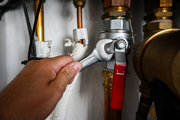 Best Water Leak Repair  in Stlman Valley, IL